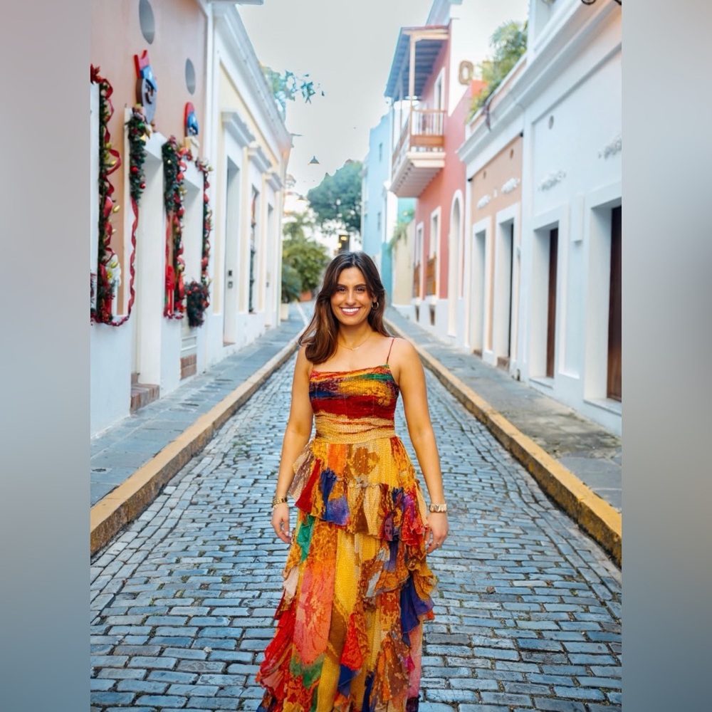 SIDDHARTHA BANSAL Paradise Chiffon Maxi Dress - Picture 3 of 12